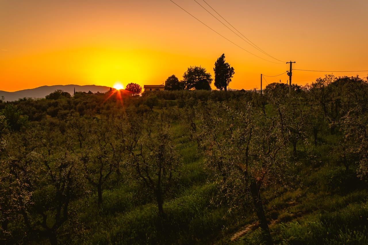 Agriturismo Bellosguardo Reggello Dış mekan fotoğraf